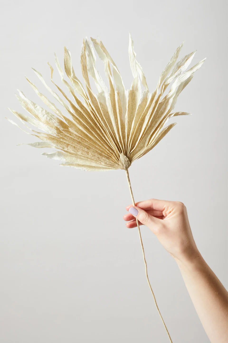 STUDIO ABOUT - PAPER FLOWER, PALM, SAND, 350550S