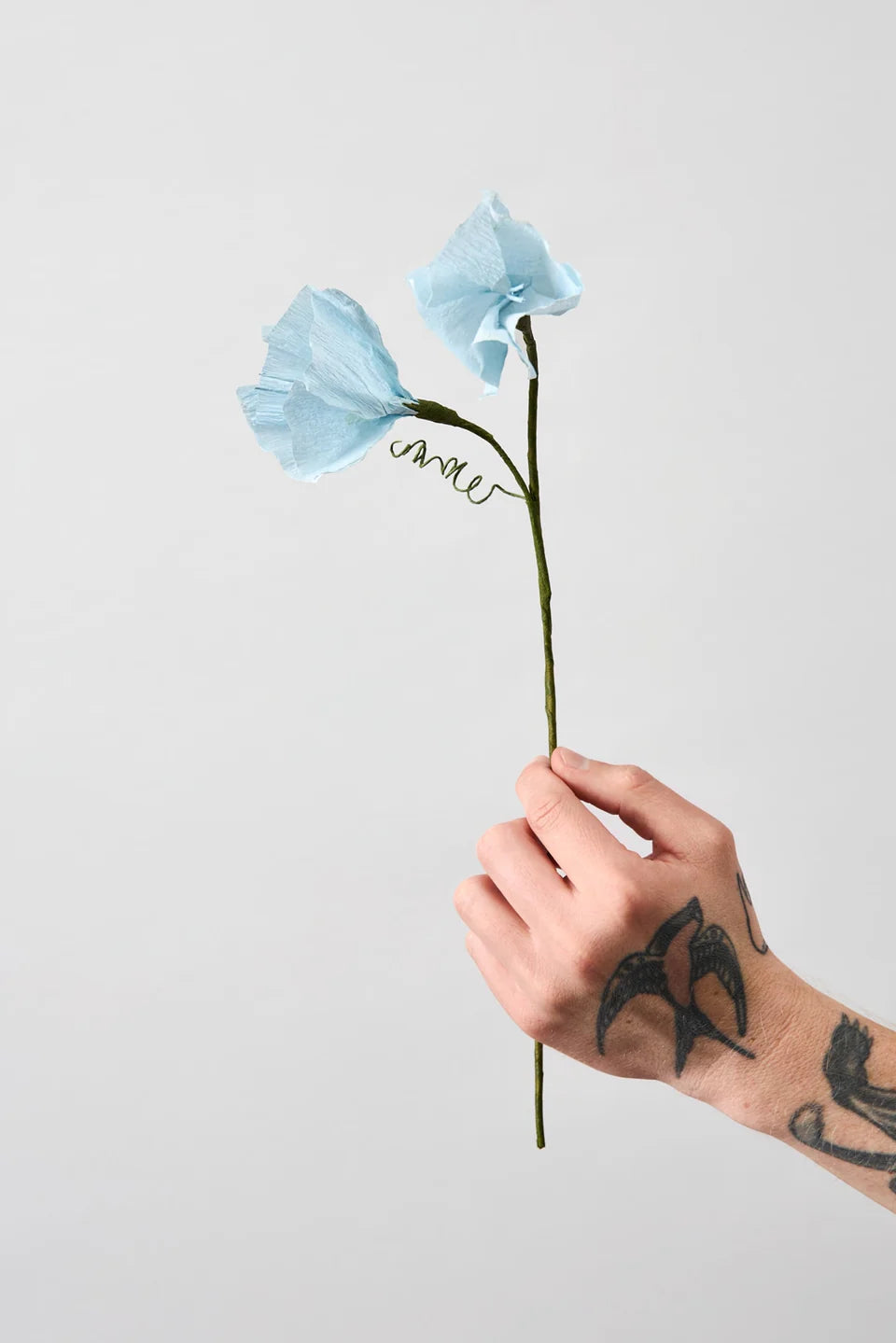 STUDIO ABOUT - PAPER FLOWER, Morning Glory, Blue 8ß430B