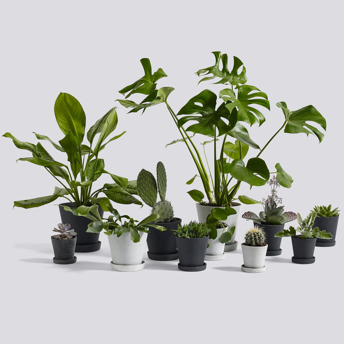 HAY - Blumentopf mit Untersetzer "Flowerpot" M Schwarz Blumentopf HAY