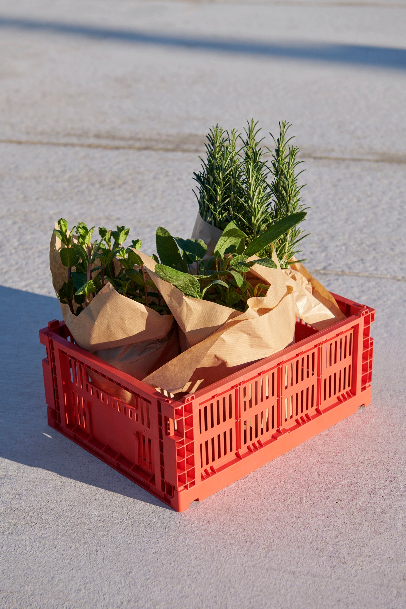 HAY - Stapelkiste "Colour Crate" S Red - - No59 Conceptstore Cologne