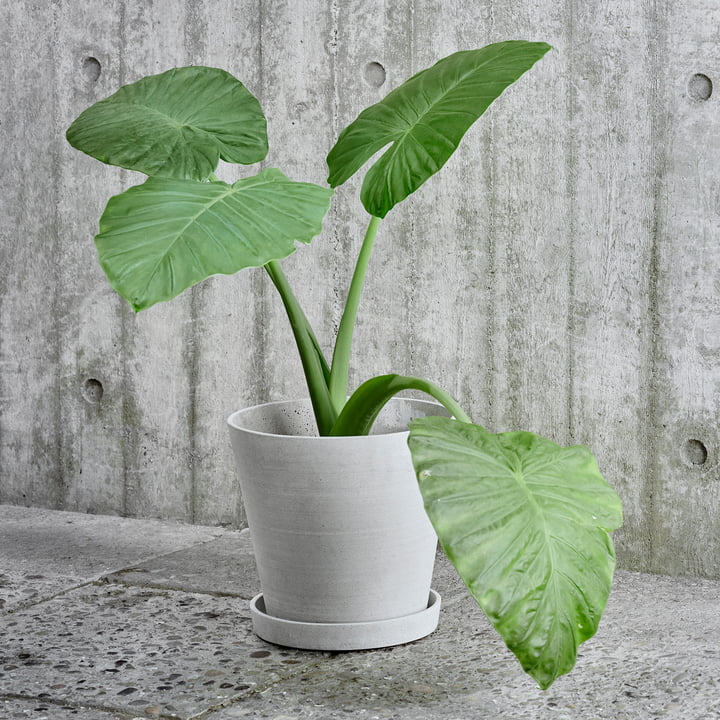 HAY - Blumentopf mit Untersetzer "Flowerpot" XL Grey - - No59 Conceptstore Cologne