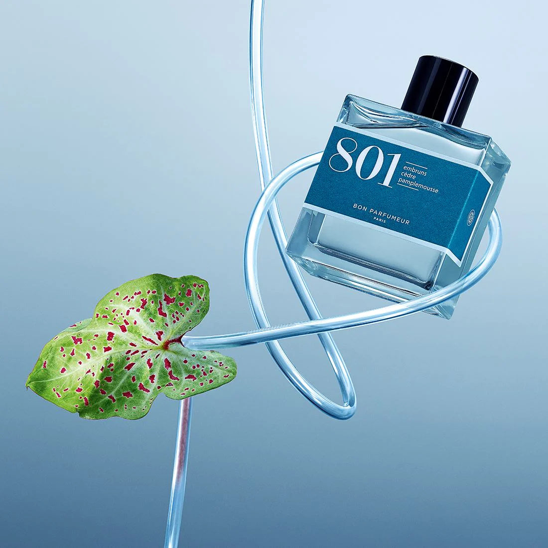 BON PARFUMEUR - Eau de Parfum "801" 30ml