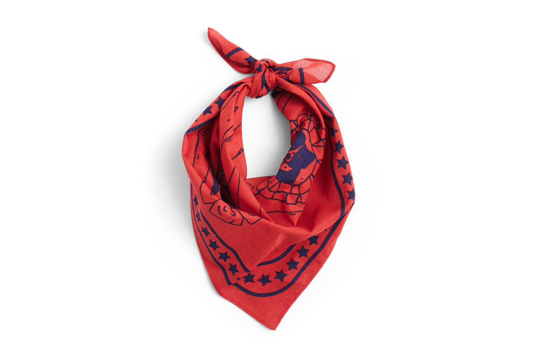 HAY - Hundetuch &quot;Dogs Scarf&quot; 55x55 Red
