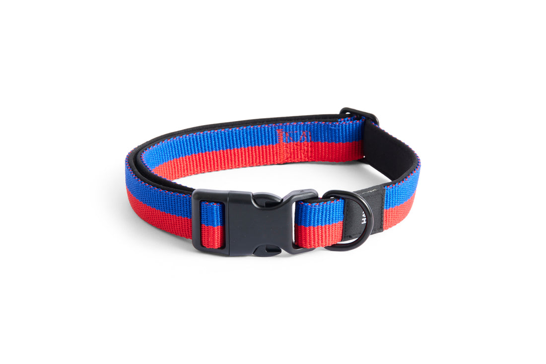 HAY - Hundehalsband &quot;Dogs Collar&quot; Flat M/L Red, Blue