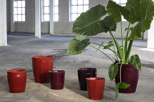 SERAX - Blumentopf XS Rot