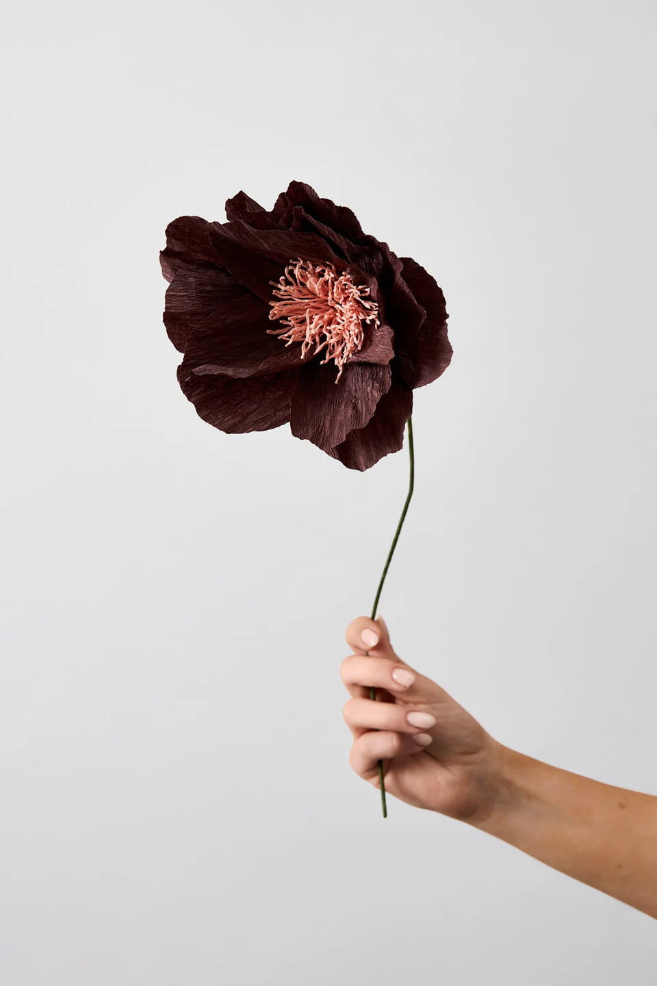 STUDIO ABOUT - PAPER FLOWER, RHAPSODY ROSE, BROWN, 200420B