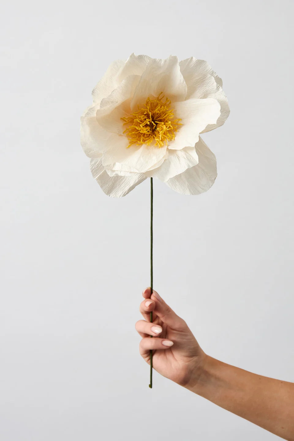 STUDIO ABOUT - PAPER FLOWER, Rhapsody, Rose, Sand 200420S