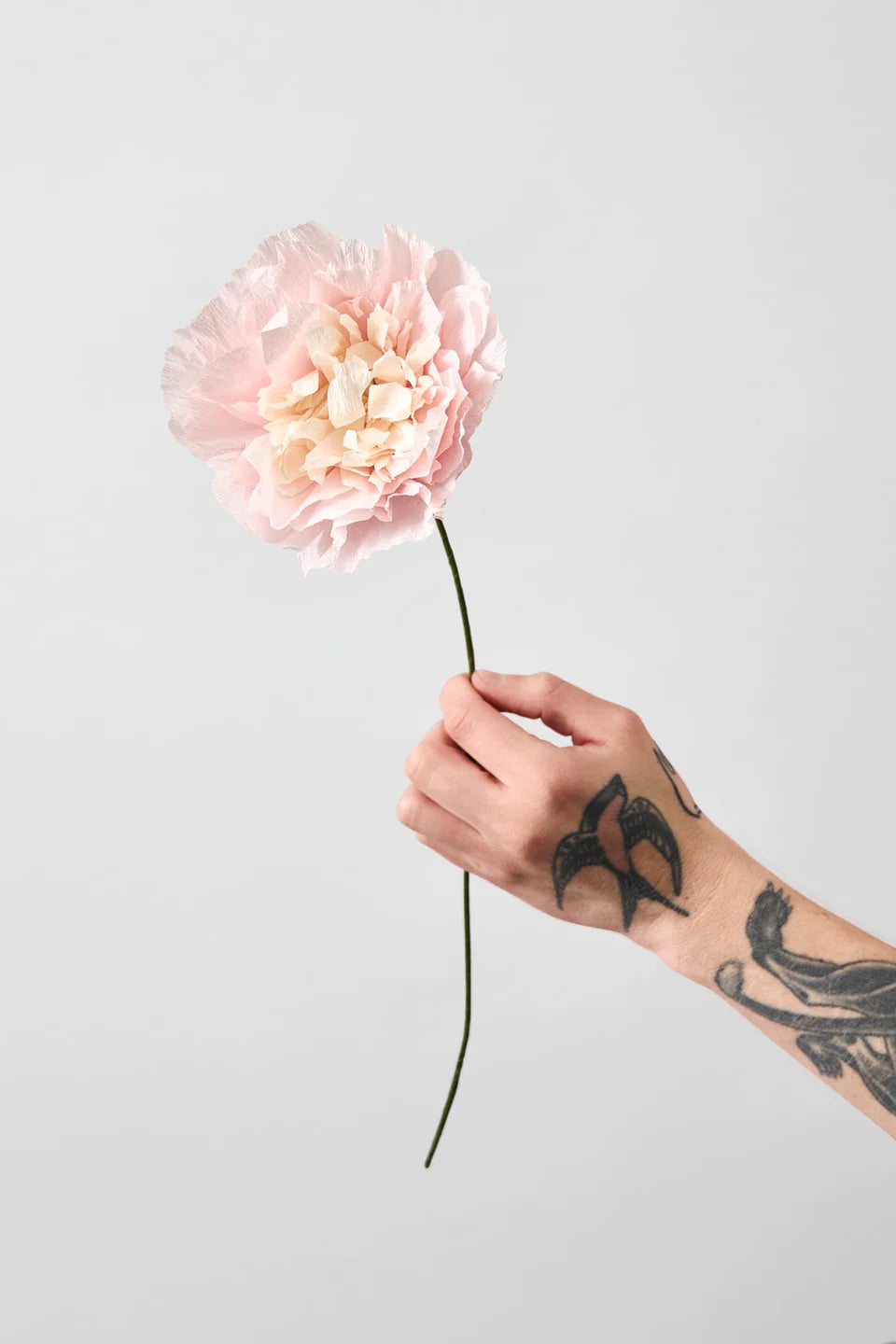 STUDIO ABOUT - PAPER FLOWER, Veggie Rose, Rose 180420R