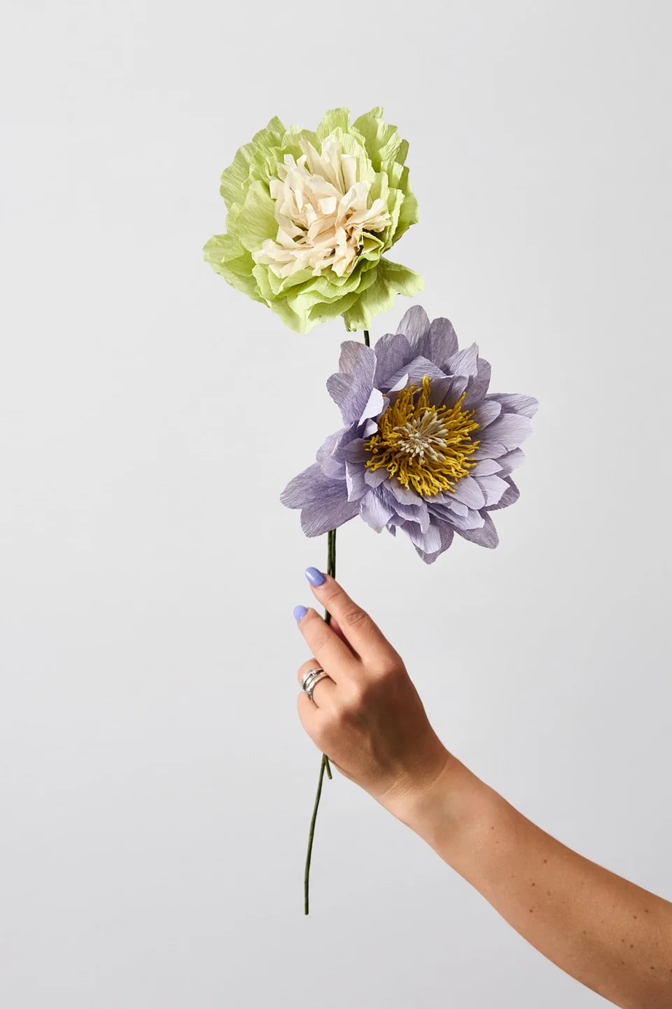 STUDIO ABOUT - PAPER FLOWER, COTTAGE ROSE, PURPLE, 170400P