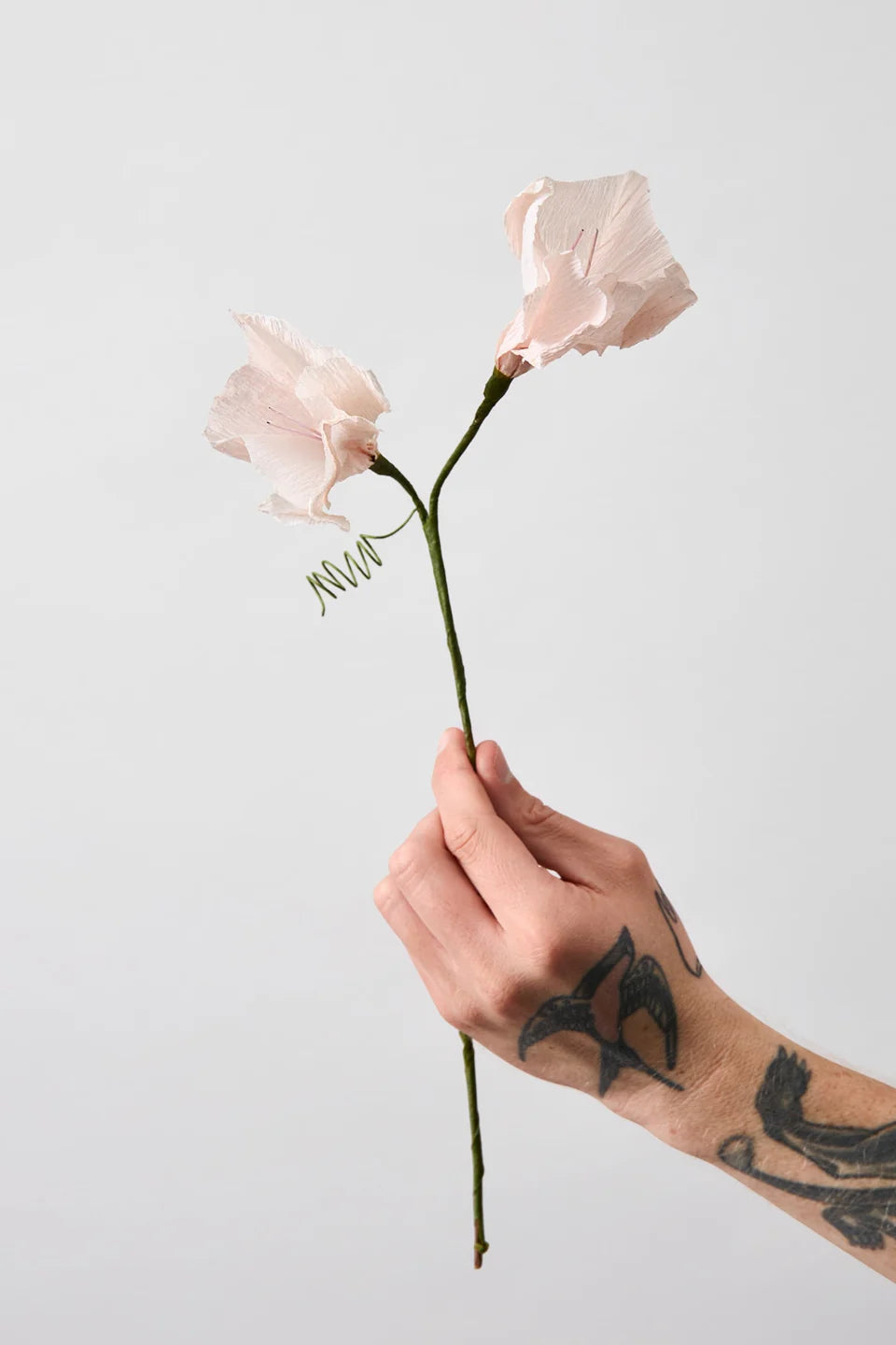 STUDIO ABOUT - PAPER FLOWER, Morning Glory, Rose 80430R