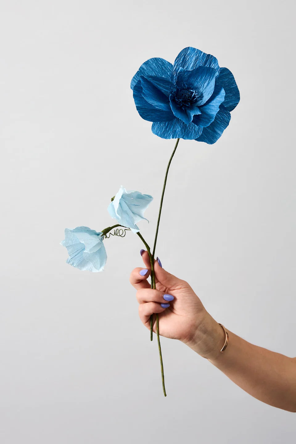 STUDIO ABOUT - PAPER FLOWER, Morning Glory, Blue 8ß430B