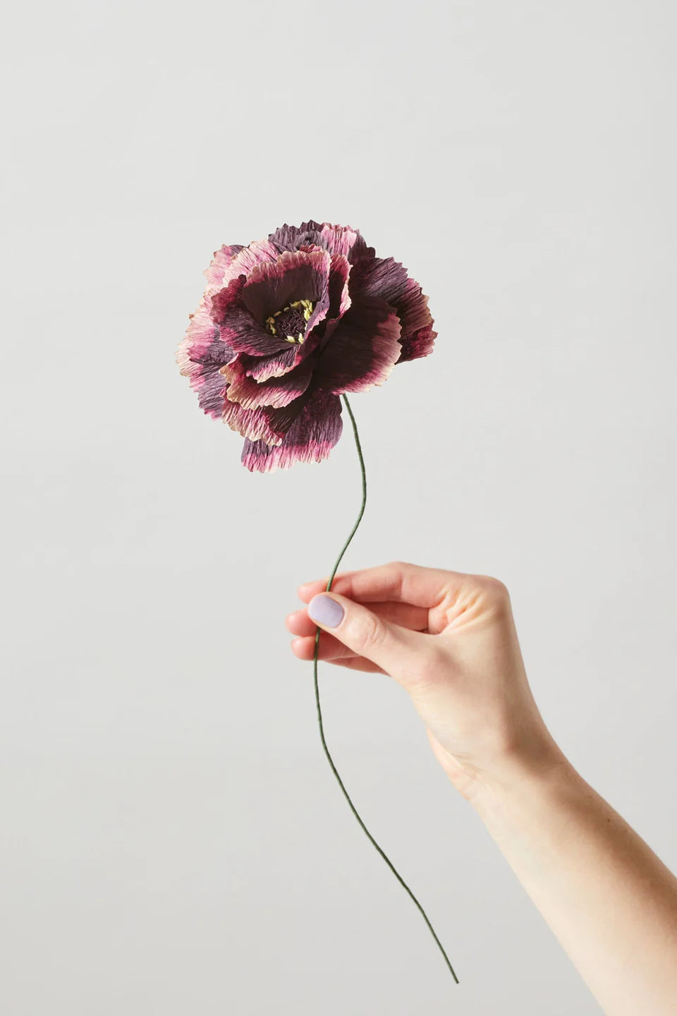 STUDIO ABOUT - PAPER FLOWER, PEONY, AUBERGINE, 120420A