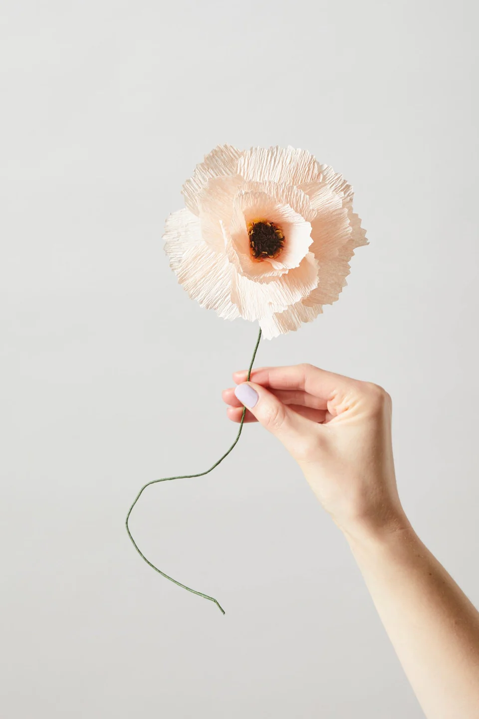 STUDIO ABOUT - PAPER FLOWER, PEONY, NUDE