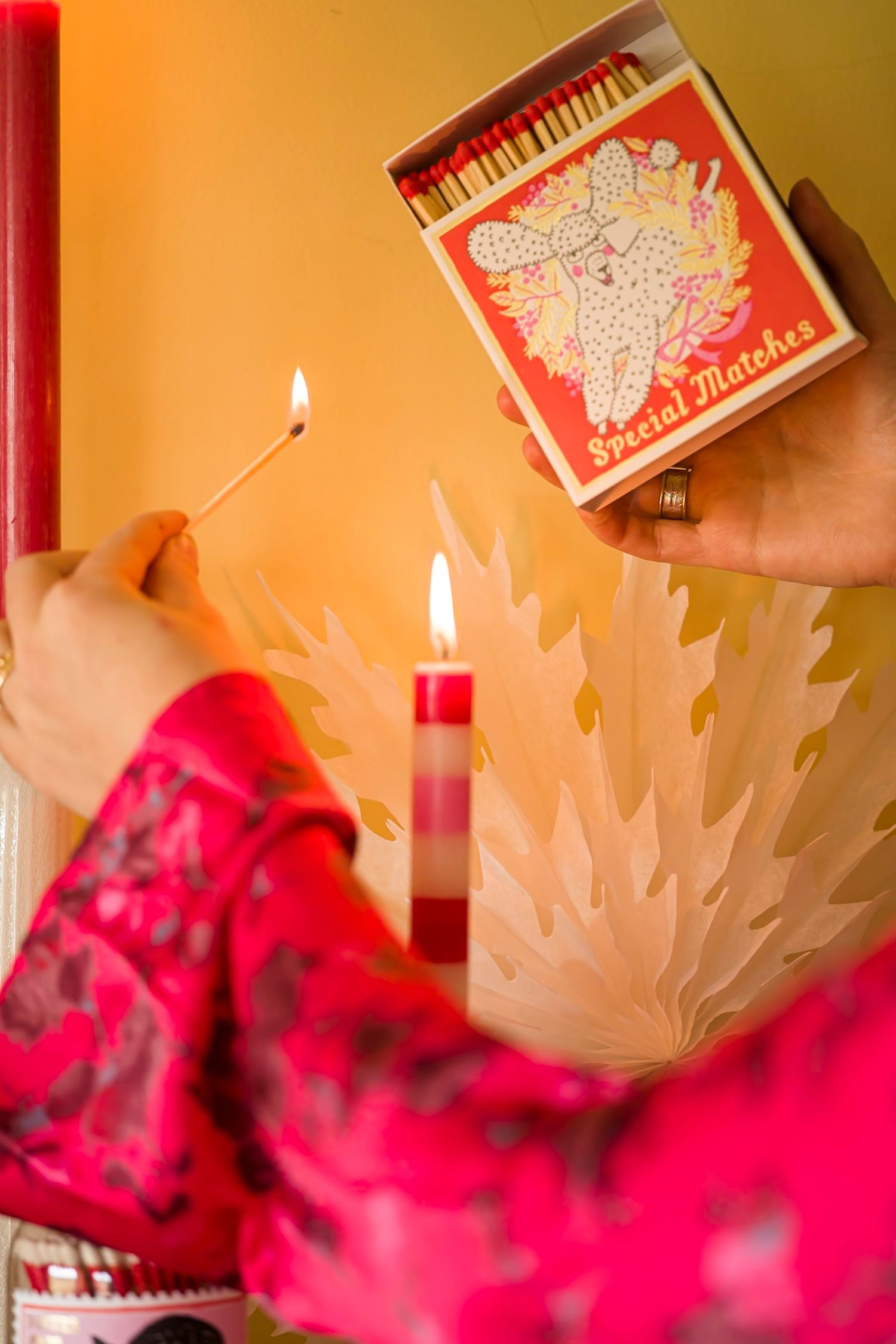 ARCHIVIST - Christmas Poodle Matches, B341