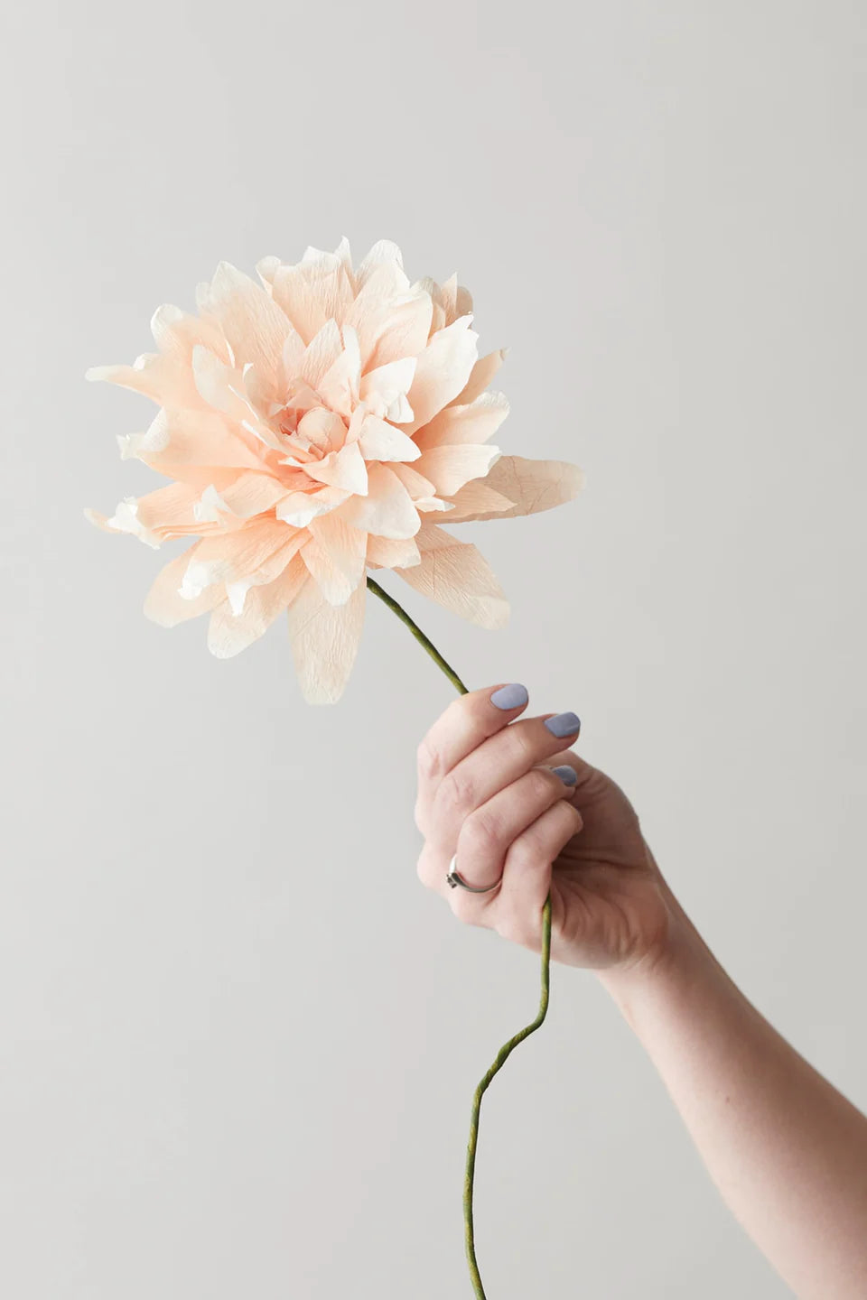 STUDIO ABOUT - PAPER FLOWER, GRAND DAHLIA, NUDE, 160460N